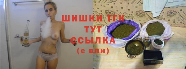 СК Аркадак