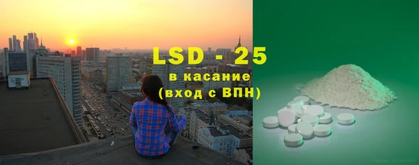 ECSTASY Алзамай