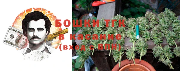 дурь Алексеевка