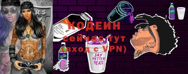 ECSTASY Алзамай