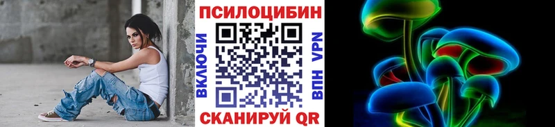 Псилоцибиновые грибы Psilocybe  Зима 