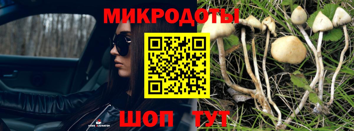 Зима  Галлюциногенные грибы GOLDEN TEACHER  даркнет сайт  Вход с VPN 