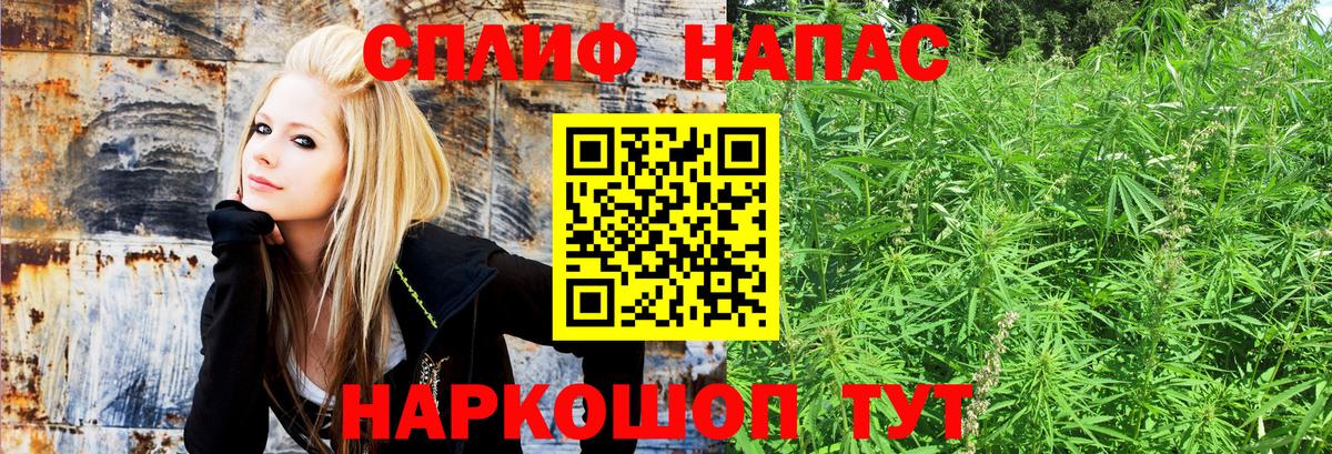 Каннабис SATIVA & INDICA  Вход с VPN  Бошки Шишки VHQ  Зима  Шишки марихуана гибрид 