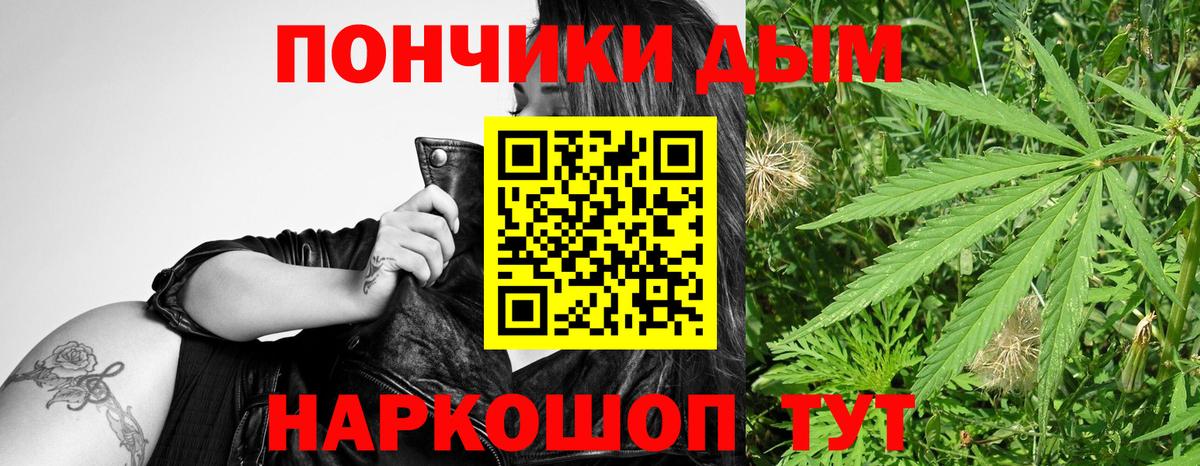 Каннабис планчик Зима